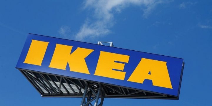 IKEA в Италии приютила бездомных собак