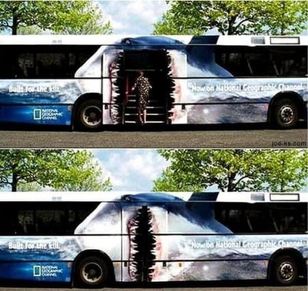 Реклама-на-транспорте_автобус-как-акула